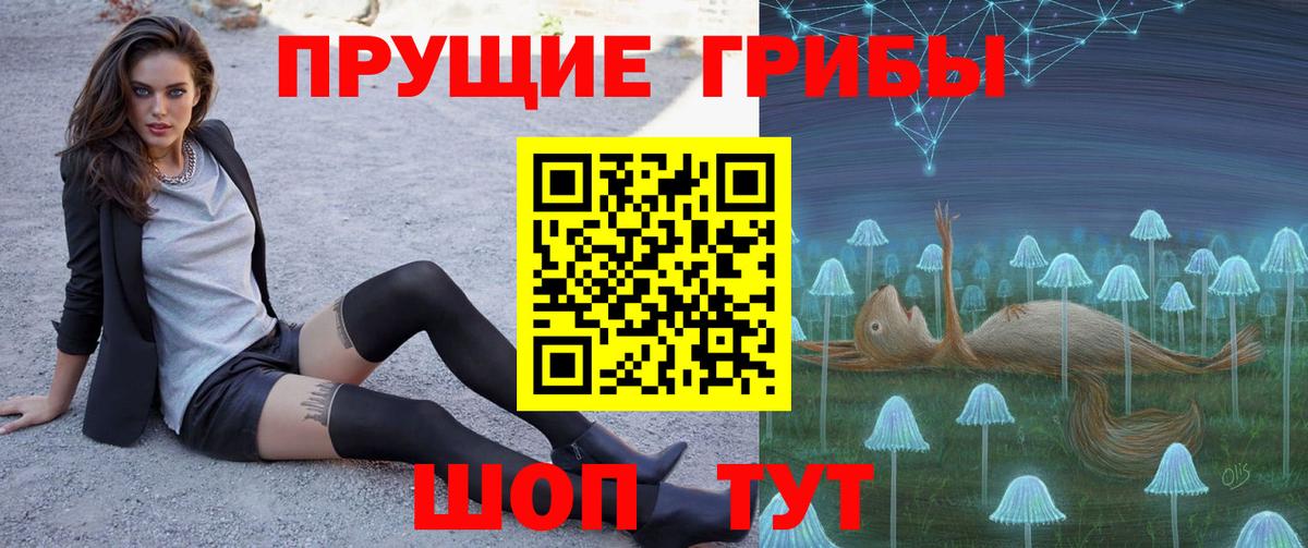 Псилоцибиновые грибы ЛСД Ноябрьск